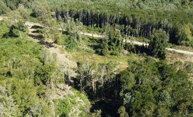 OPORTUNIDAD  Se vende Parcela sector Chancoyan, Valdivia
