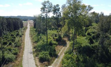 OPORTUNIDAD  Se vende Parcela sector Chancoyan, Valdivia
