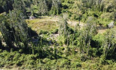 OPORTUNIDAD  Se vende Parcela sector Chancoyan, Valdivia