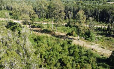 OPORTUNIDAD  Se vende Parcela sector Chancoyan, Valdivia