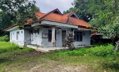 RUMAH DENGAN TANAH YANG LUAS & STRATEGIS DI PURWOHARJO COMAL