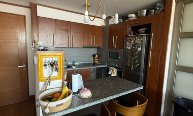 Departamento a la venta en LONCO PARQUE
