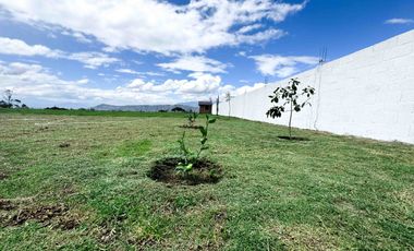 TERRENOS CAMPESTRES EN VENTA - SECTOR A POCOS MINUTOS DE GUAYLLABAMBA
