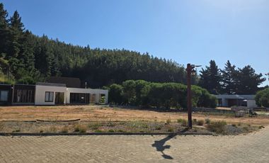 TERRENO PLANO RESERVA DE MITRINHUE