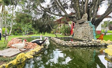 FINCA AVENTURA DE ALQUILER ARRIENDO EN PEREIRA CON ATRACCIONES, EJE CAFETERO