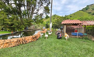 FINCA AVENTURA DE ALQUILER ARRIENDO EN PEREIRA CON ATRACCIONES, EJE CAFETERO