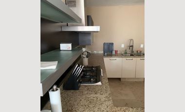 DEPARTAMENTO TORRE AMBAR