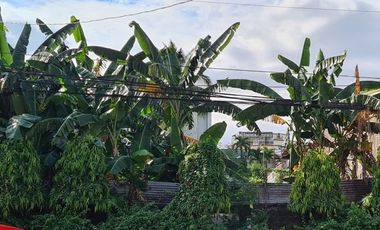Lot for rent in Shaw Boulevard, San Antonio, Pasig First District, Pasig, Eastern Manila District