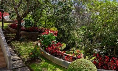 VENDO EN EL SECTOR DEL BOSQUE EXELENTE DEPARTAMENTO TOTALMENTE REMODELADO