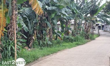 Dijual Kavling Jalan SMPN 3 Rawakalong Gunung Sindur Bogor Murah Luas Lokasi Strategis Dekat Jalan Raya