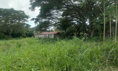 LOT FOR SALE IN VALENCIA ID 14954