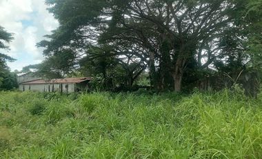 LOT FOR SALE IN VALENCIA ID 14954