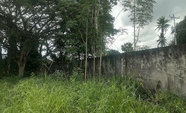 LOT FOR SALE IN VALENCIA ID 14954