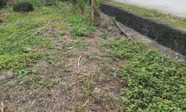 LOT FOR SALE IN VALENCIA ID 14954