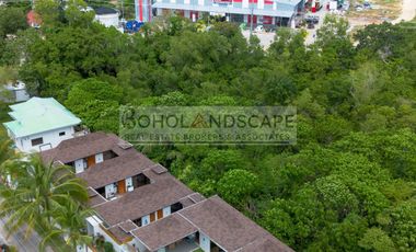 Operational Villa For Sale located in Bolod, Panglao Island, Bohol