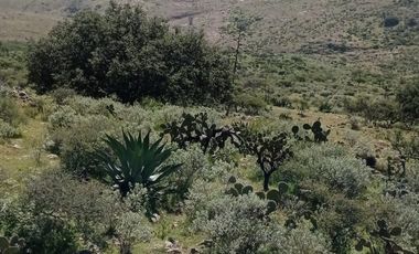 RANCHO de 415has en VENTA - San Diego de la Unión $25,000/ha