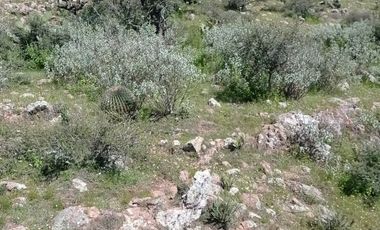 RANCHO de 415has en VENTA - San Diego de la Unión $25,000/ha