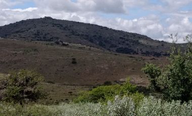 RANCHO de 415has en VENTA - San Diego de la Unión $25,000/ha