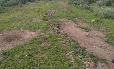 RANCHO de 415has en VENTA - San Diego de la Unión $25,000/ha