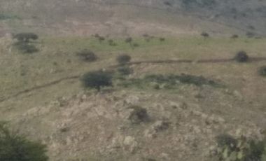 RANCHO de 415has en VENTA - San Diego de la Unión $25,000/ha