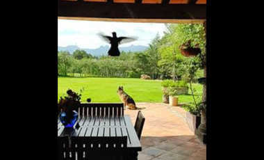 Venta de Casa tipo Hacienda de en Huasca: ¡Ideal para disfrutar de la naturaleza! ¡Tu paraíso Huasca! Oportunidad!
