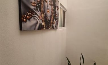 RENTA DE CASA AMUEBLADA EN HACIENDA VIÑEDOS SALIDA LEON SILAO