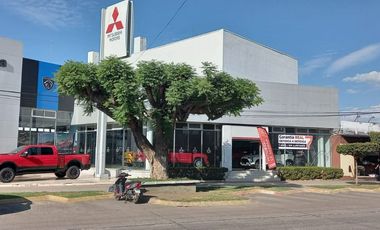 LOCAL COMERCIAL EN RENTA, CIUDAD GUZMAN, ZAPOTLAN EL GRANDE, JAL.
