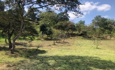 Lote para Conjunto Residencial Campestre