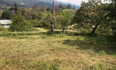Lote para Conjunto Residencial Campestre
