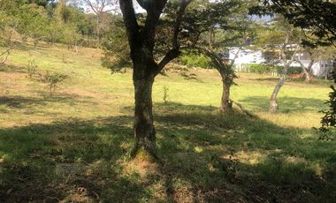 Lote para Conjunto Residencial Campestre
