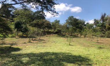Lote para Conjunto Residencial Campestre
