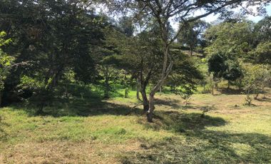Lote para Conjunto Residencial Campestre