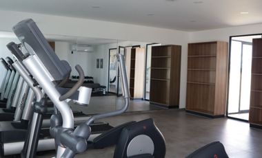 Departamento Amueblado en Renta en Distrito Matera