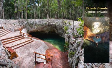 2 lotes en green tulum ( Juntos o por separado)