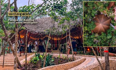 2 lotes en green tulum ( Juntos o por separado)