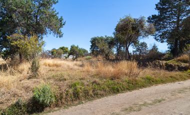 Terreno en Venta, Barrio Cazatotla Culhuaca. Acuitlapilco, Tlaxcala