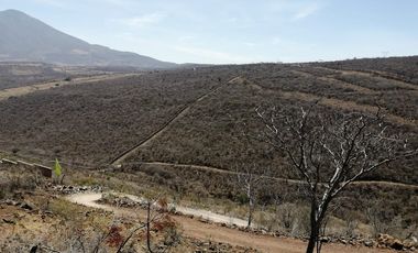 Terrenos en Venta en Jocotepec Fracc Rivera del Cardenal