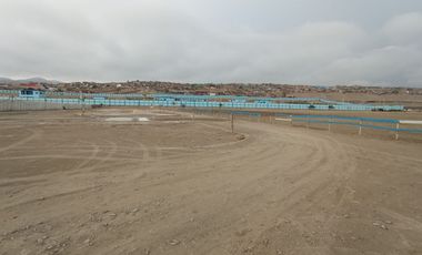 Excelente Terreno Industrial En Ventanilla -Callao.