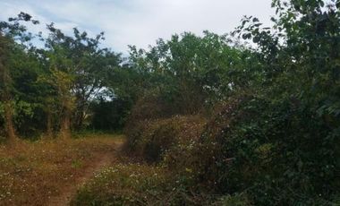 TERRENO RURAL DE 200000 M2