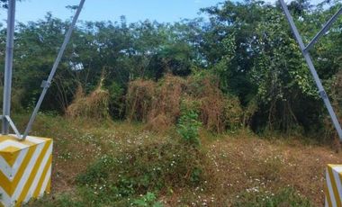 TERRENO RURAL DE 200000 M2