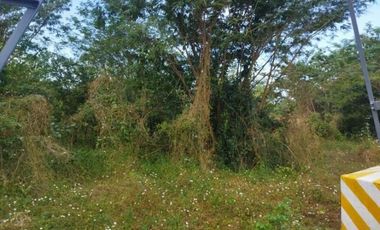 TERRENO RURAL DE 200000 M2