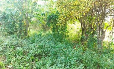 TERRENO RURAL DE 200000 M2