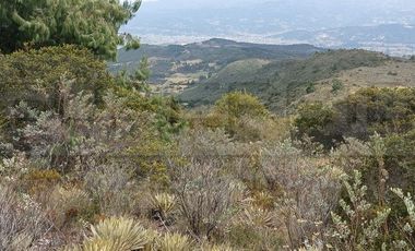 TERRENO RURAL LOTE TUNAL DE 18997,32 M2