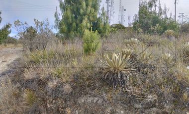 TERRENO RURAL LOTE TUNAL DE 18997,32 M2