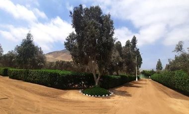 ¡La Mejor Oportunidad de Tener Tu Casa de Campo en Pucusana!
