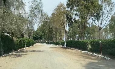 ¡La Mejor Oportunidad de Tener Tu Casa de Campo en Pucusana!