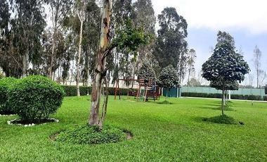 ¡La Mejor Oportunidad de Tener Tu Casa de Campo en Pucusana!