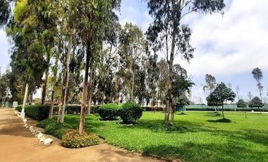 ¡La Mejor Oportunidad de Tener Tu Casa de Campo en Pucusana!