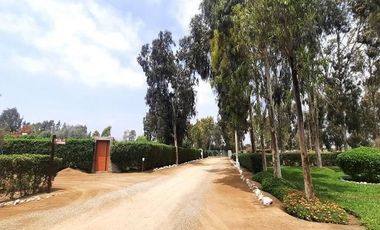 ¡La Mejor Oportunidad de Tener Tu Casa de Campo en Pucusana!