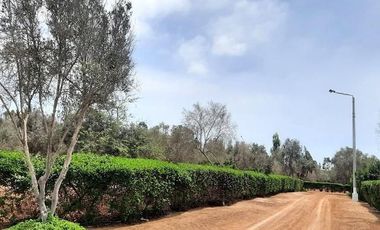 ¡La Mejor Oportunidad de Tener Tu Casa de Campo en Pucusana!